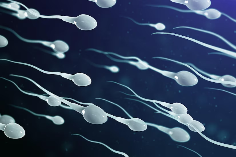 How To Confirm Whether Sperm Went Inside?
